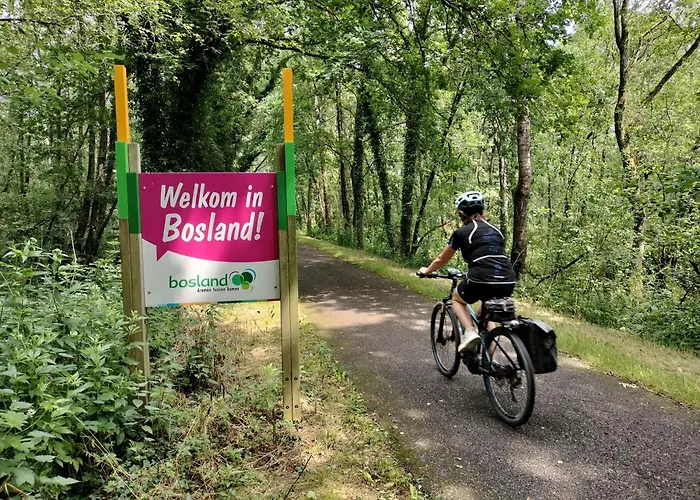 Bosrand81